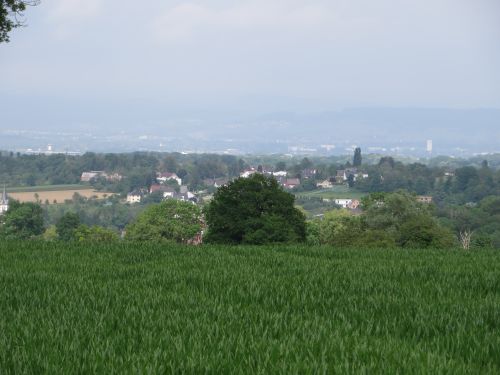 Bild