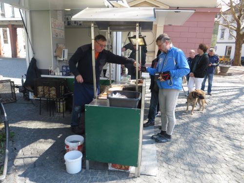 Bild