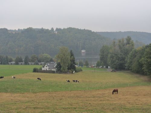 Stausee Kriebstein