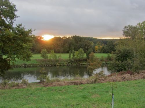 Sonnenuntergang am Main