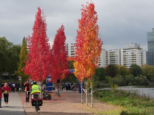Offenbach