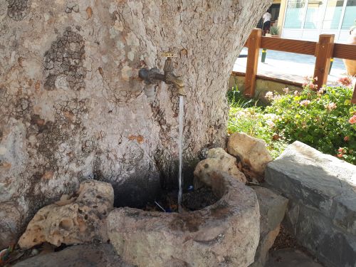 Der eingewachsene Wasserhahn