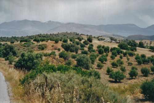Vathiako