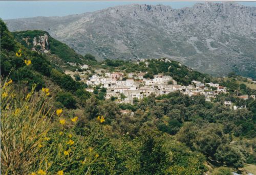 Vistagi