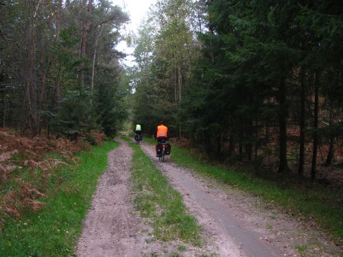 Rostocker Heide
