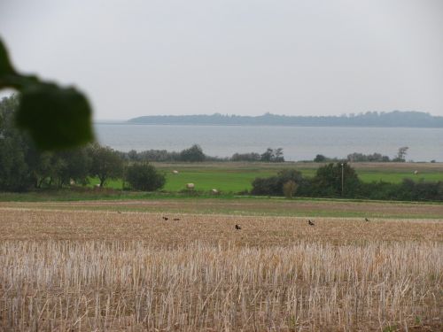 Am Salzhaff