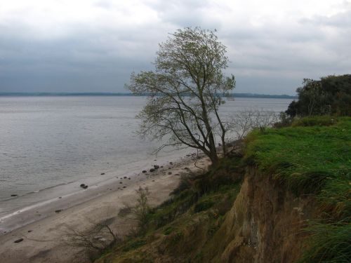 Brodtener Steilufer
