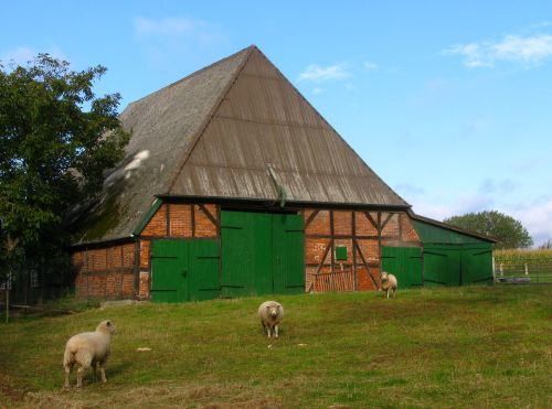 Bauerhaus in Holstein